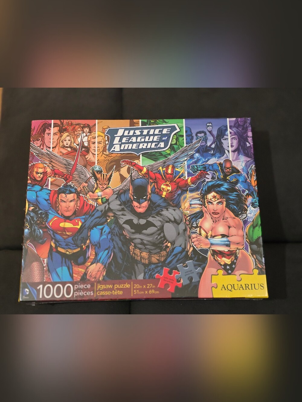 Justice League of America 1000-Piece Jigsaw Puzzle - Multicolor